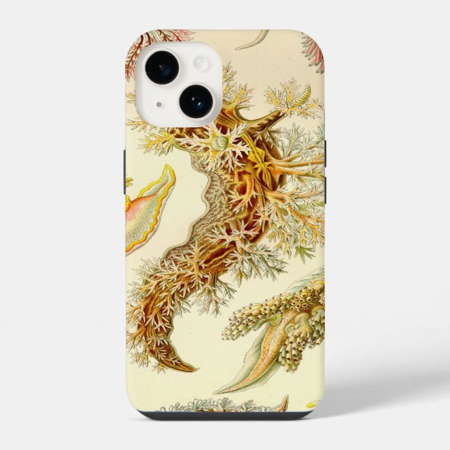 Haeckel Vintage (Verso)
