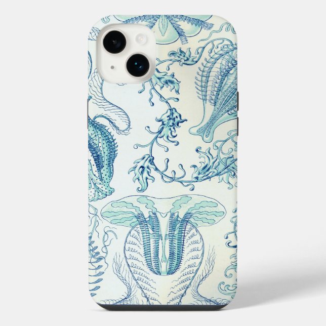 Haeckel Vintage (Verso)