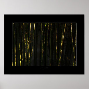 HAIKU Bamboo tree Poster