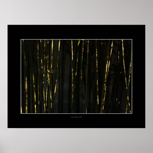 HAIKU Bamboo tree Poster (Frente)