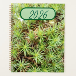 Haircap Moss Planner - Nature’s Green Agenda
