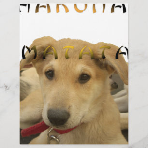 Hakuna Matata Eu sei o que você está pensando