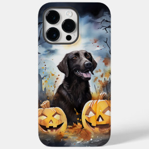 Halloween Nova Escotia Com Pumpkins Assustado