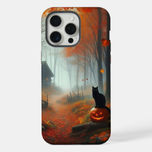 Halloween/outono/Outono/Abóbora/gato
