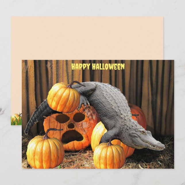 Halloween Pumpkins e Gator (Frente/Verso)