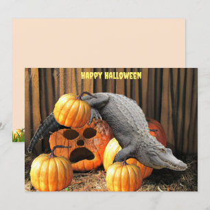 Halloween Pumpkins e Gator