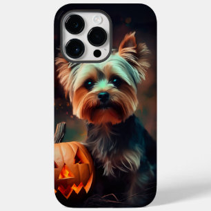 Halloween Yorkshire Terrier Com Pumpkins Assustado