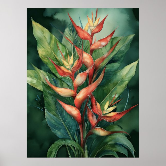 Hamakua Heliconia Poster (Frente)