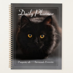 HAMbWG - Planejador Diário de Fotos - Gato Preto