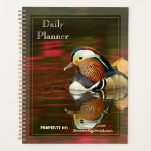 HAMbWG - Planejador Diário de Fotos - Pequeno Pato