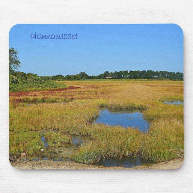 Hammonasset Mousepad (Frente)