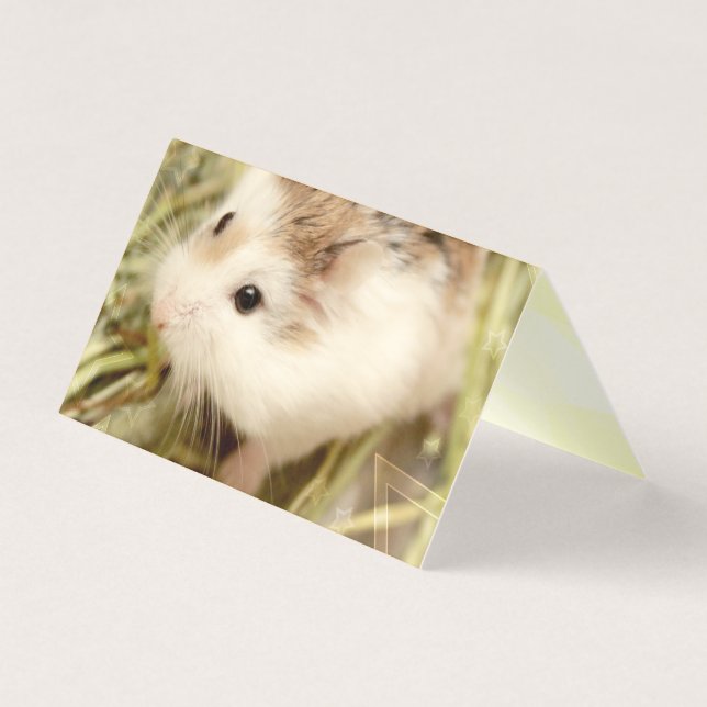 Hammyville - Hamster Bonito (Frente)