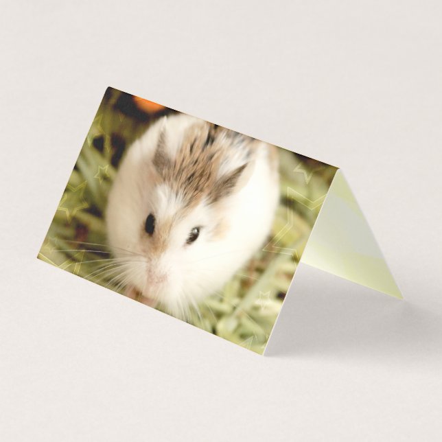 Hammyville - Hamster Bonito (Frente)