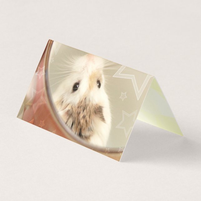 Hammyville - Hamster Bonito (Frente)