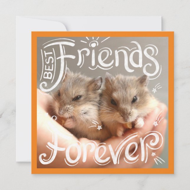 Hammyville - Hamster Melhores Amigos para Sempre (Frente)