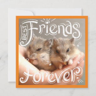 Hammyville - Hamster Melhores Amigos para Sempre
