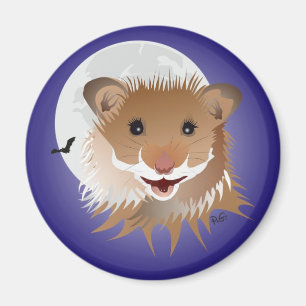 hamster the my íman little friend