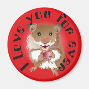 hamster the my íman little friend