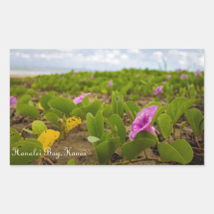 Hanalei Bay, Kauai Flower   Autocolante de imagem 
