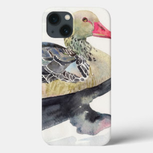 Hand Draw Watercolor Bird, Duck