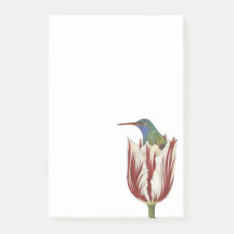 Hans o beija-flor em um bloco de notas de Posto de