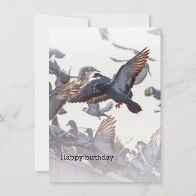 Happy Birthday Card for Pigeons (Verso)