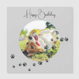 Happy Birthday from Your Furry Friend 2 Photos  