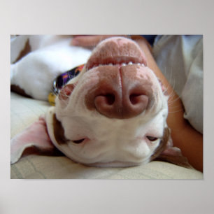 Happy Dog Impressão