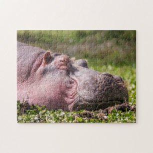 Happy Hippo Quebra-cabeça