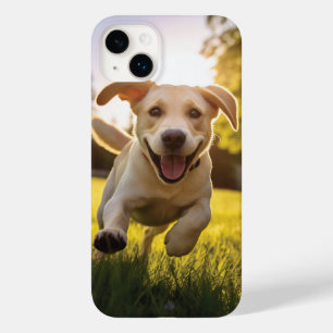 Happy Labrador Puppy em execução