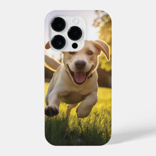 Happy Labrador Puppy em execução