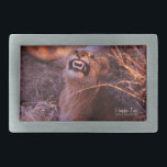 Happy Tau<br><div class="desc">Happy Tau, leão no idioma do Botsuana, impressões de fotos da natureza e presentes mostram uma bela fotografia de um jovem leão na África tirada por Kurt Keller com uma câmera de 35 mm enquanto estava em um safari africano em Botswana. Quem ama animais e todos os amantes de leões...</div>
