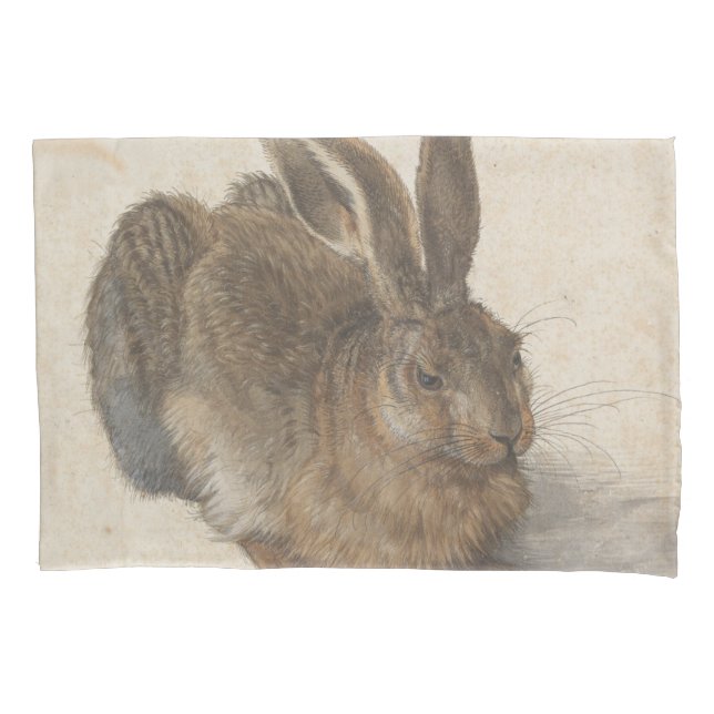 Hare (por Albrecht Dürer) (Frente-Esquerda)