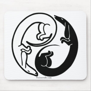 Harmonia canina Mousepad