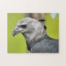 Harpy Eagle Jigsee Quebra-cabeça