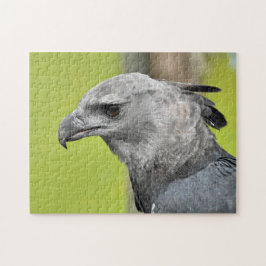 Harpy Eagle Jigsee Toy Quebra-cabeça