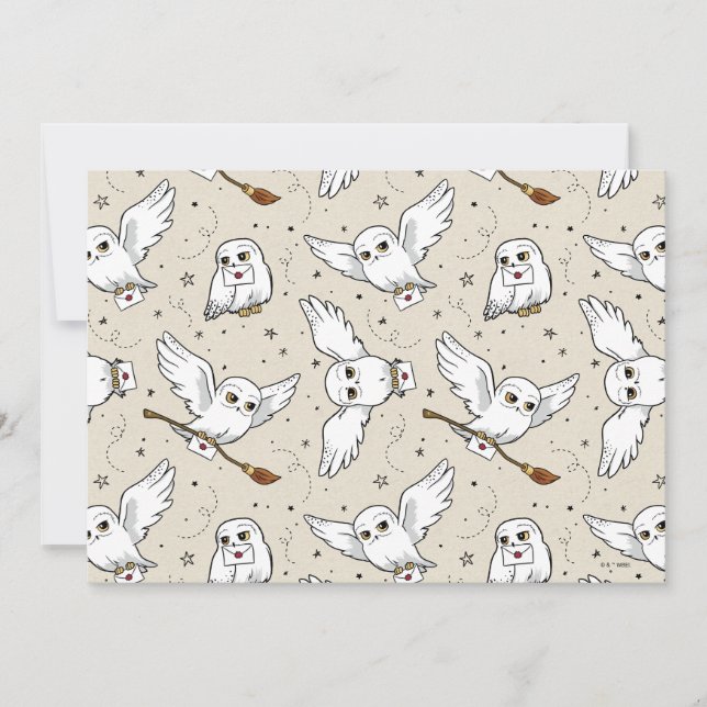 Harry Potter | Hedwig Pattern (Frente)