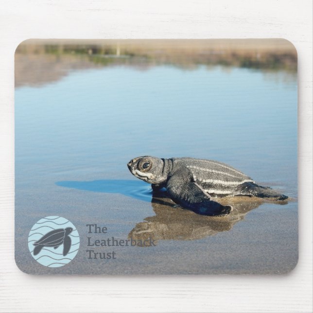 Hatchling Mousepad (Frente)