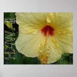 Havaí hibiscus poster