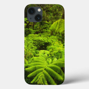 Havaí, Ilha Grande, Verde tropical em Lush
