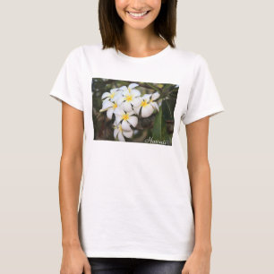 Havaí, Plumeria, flores brancas no t-shirt das