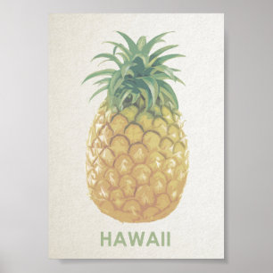Havaí vintage retro pineapple poster