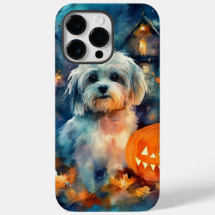 Havanês de Halloween com Abóboras Assustadoras