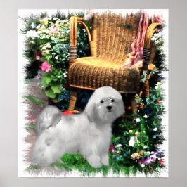 Havanese Art Impressão