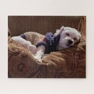 Havanese Puppy Napping - Quebra-cabeça de serra