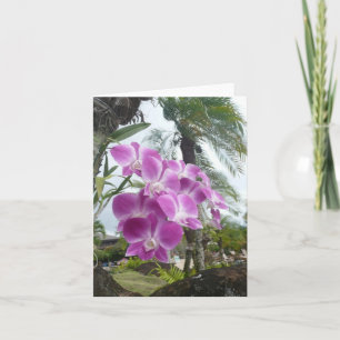 HAWAIIAN ORCHID - Cartão de Nota de Vazio
