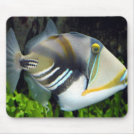 Hawaiian Tropical Fish Mousepad