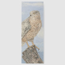 Hawk Bookmark de Cooper