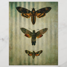 Hawk Moths Vintage Ephemera