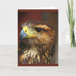 Hawk procurando cartão de almoço